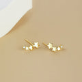 Shiny Earrings