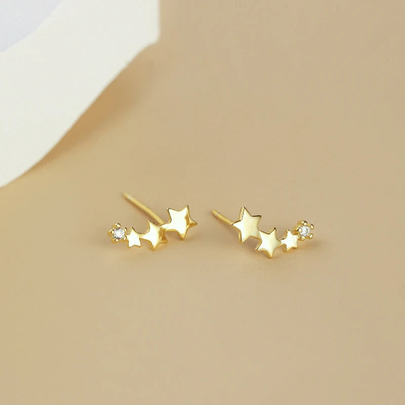 Shiny Earrings