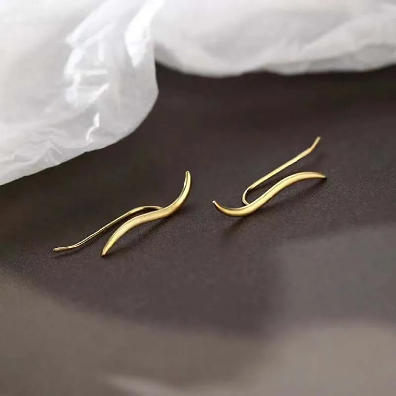 Shiny Earrings