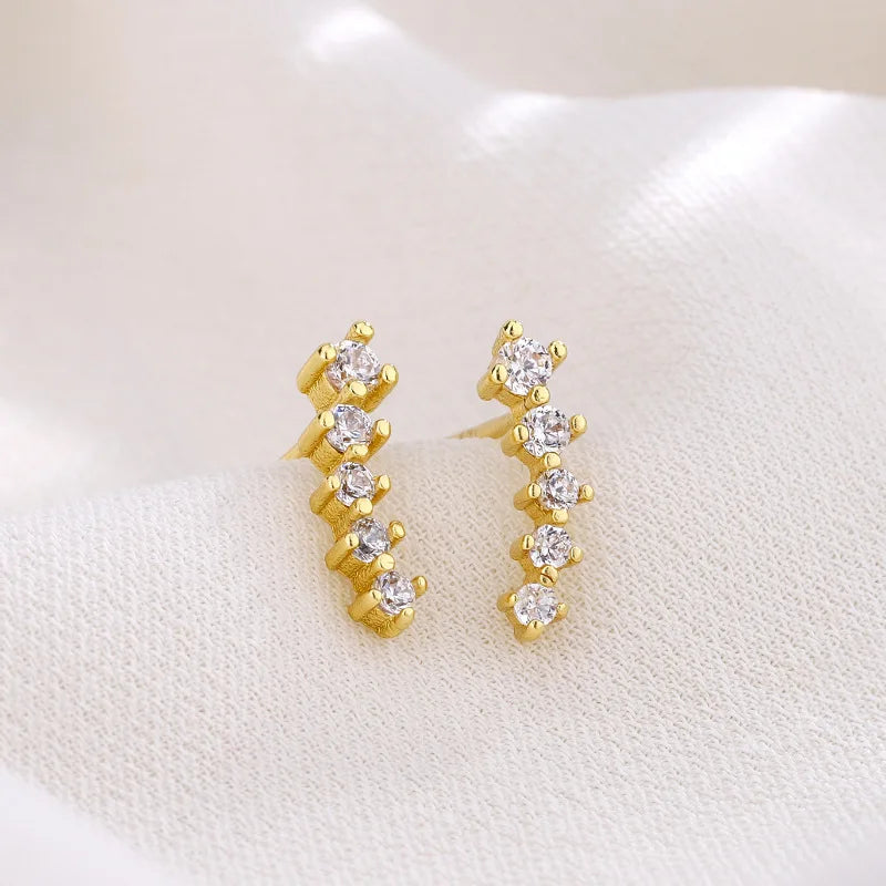 Shiny Earrings